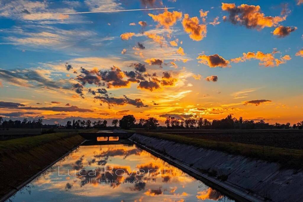 Instagramers Ferrara (@igers_ferrara) on Twitter photo Oggi ripostiamo: @luca_roverati - Selezionatore: <a href="/skynet70/">Barbara Lunghi</a> - hashtag #igersferrara - Medelana, ponte della ferrovia sul San Nicolò
______
Continua ad usare il nostro hashtag #igersferrara, le tue foto e i tuoi video potrebbero essere condivisi sul nostro account nazionale <a href="/w/">Brian Jones</a>… Oggi ripostiamo: @luca_roverati - Selezionatore: <a href="/skynet70/">Barbara Lunghi</a> - hashtag #igersferrara - Medelana, ponte della ferrovia sul San Nicolò
______
Continua ad usare il nostro hashtag #igersferrara, le tue foto e i tuoi video potrebbero essere condivisi sul nostro account nazionale <a href="/w/">Brian Jones</a>…
