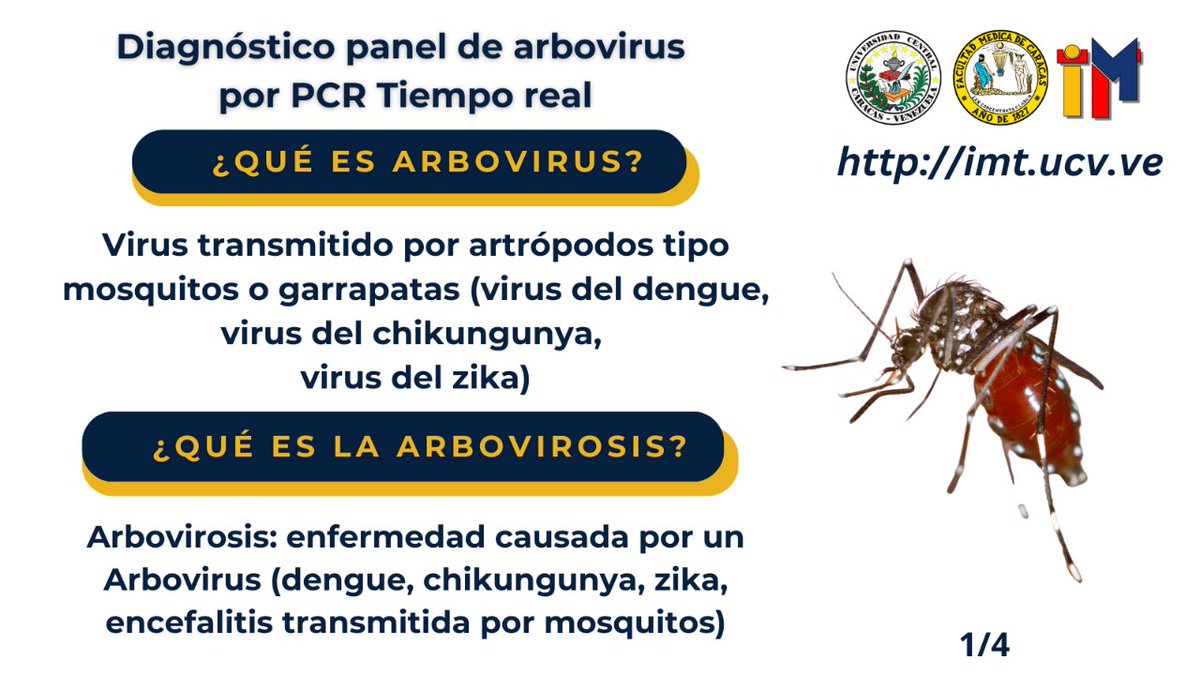 Instituto de Medicina Tropical UCV tweet media