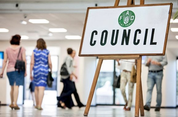 FranceONURome's tweet image. 🇺🇳 The 174th session of the @FAO Council (#CL174) will take place in Rome on 4-8 December 2023.

Agenda includes:
➡️ Situation in #Gaza and #Ukraine
➡️ Adjusted #budget 2024-2025
➡️ Food systems and #bioeconomy
➡️ Nomination of DDG @maumartina
➡️ Election of 6 @WFP EB members