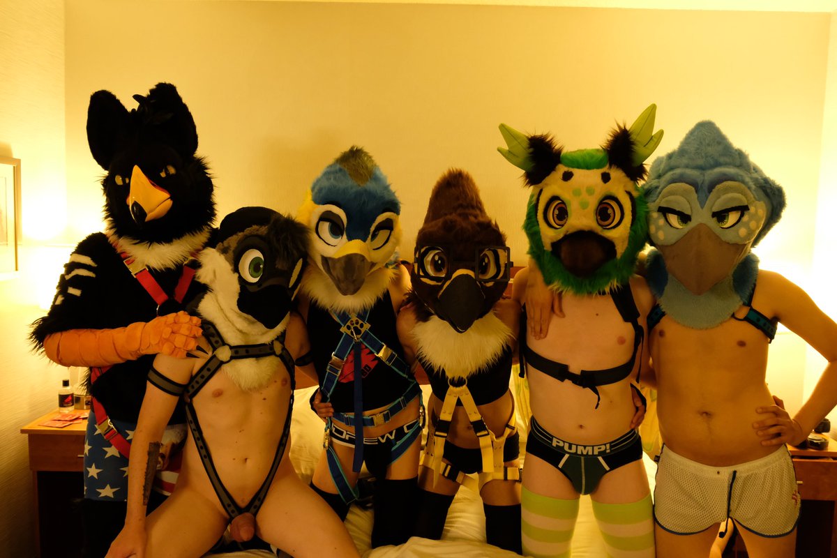Falccbutt (@murrfalc) on Twitter photo What happens when you rangle together a few of the hotties beaks in the fandom into 1 room?
Stay tuned to find out what <a href="/StudGryph/">The StudGryph Experience ⛈️ 🔜 AC , iFC</a> <a href="/BboyFlitchAD/">Spicy Mountain Birb @MFF</a> <a href="/GayBurdy/">GayBurdy 🔞</a> myself <a href="/RegenNightOwl/">Regen The Night Owl @ FM</a> <a href="/bird_hours/">Bird hours 🔜 AC</a> and a few others got up to~ What happens when you rangle together a few of the hotties beaks in the fandom into 1 room?
Stay tuned to find out what <a href="/StudGryph/">The StudGryph Experience ⛈️ 🔜 AC , iFC</a> <a href="/BboyFlitchAD/">Spicy Mountain Birb @MFF</a> <a href="/GayBurdy/">GayBurdy 🔞</a> myself <a href="/RegenNightOwl/">Regen The Night Owl @ FM</a> <a href="/bird_hours/">Bird hours 🔜 AC</a> and a few others got up to~