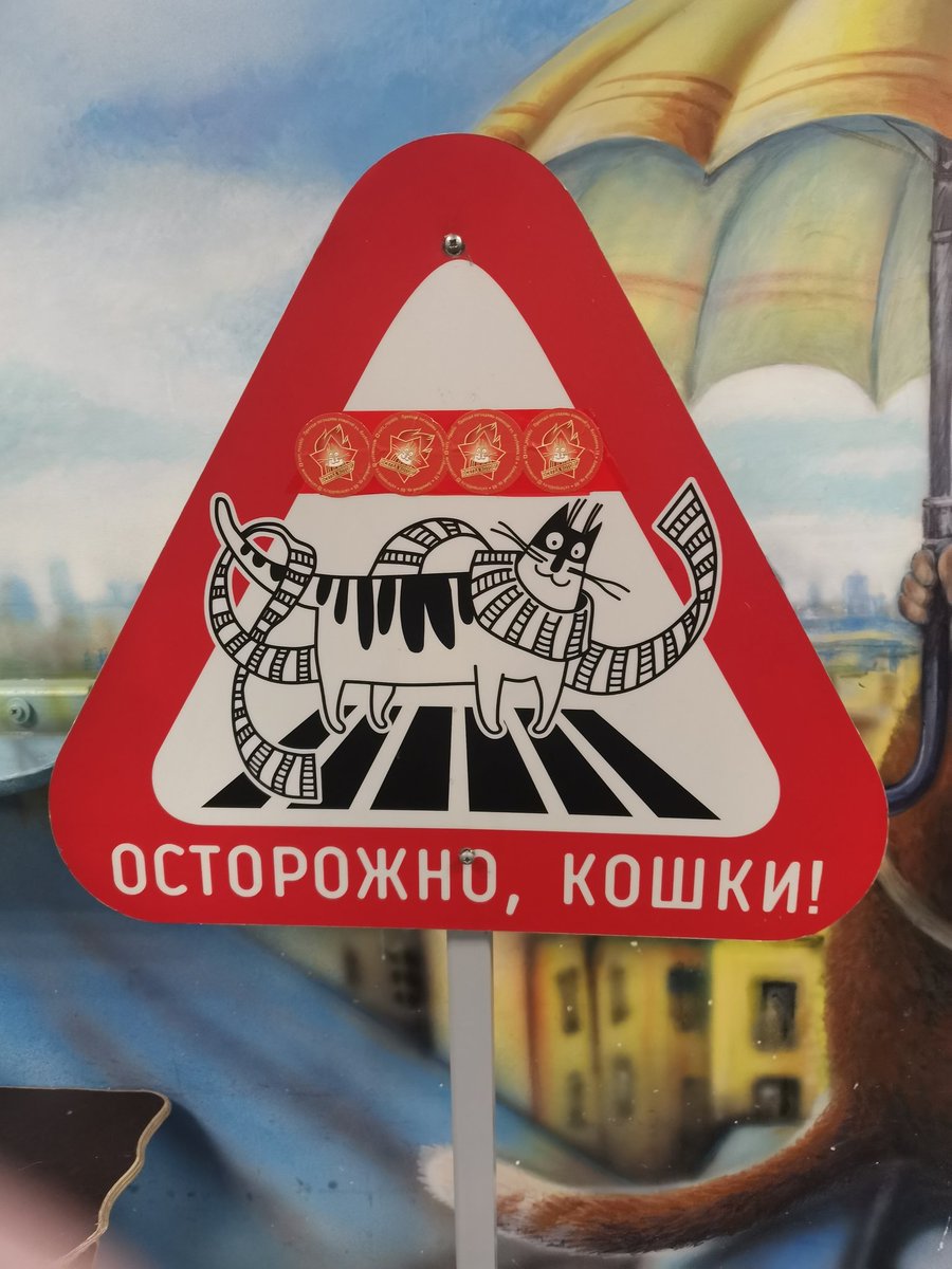 JawnFox's tweet photo. Посетила Республику Котов 🐈 https://t.co/Zilbhl6BZV