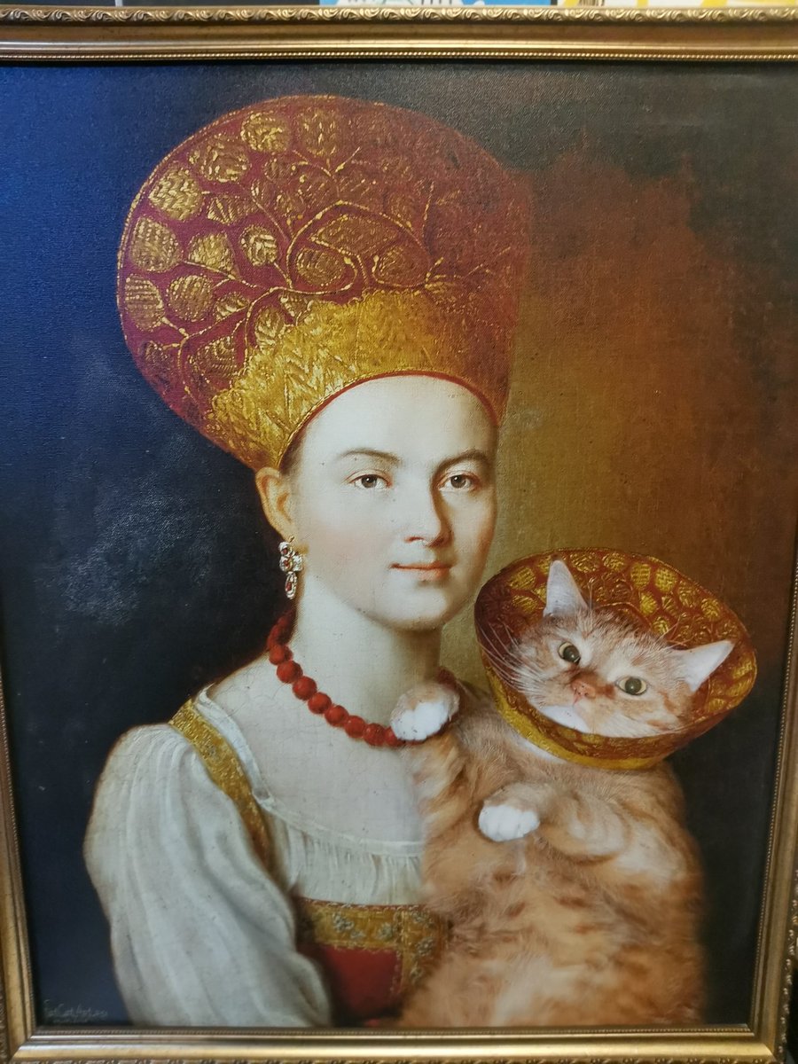 JawnFox's tweet photo. Посетила Республику Котов 🐈 https://t.co/Zilbhl6BZV