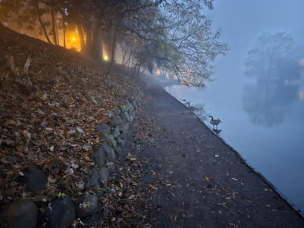 Nice walk in the fog this morning at #piedmontpark