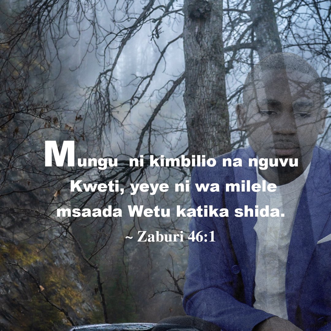 nicebower's tweet image. 