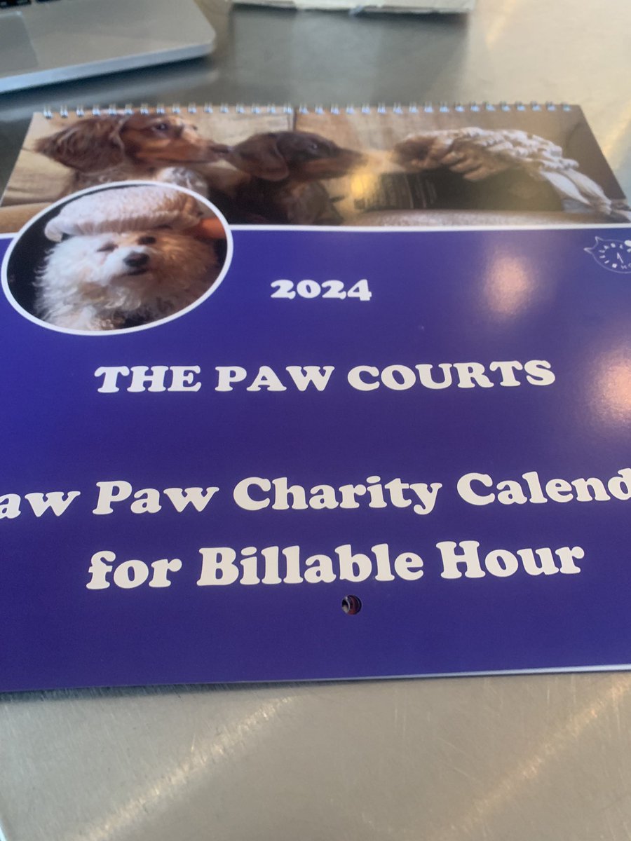 @LawPawCalendar Little bit of joy!