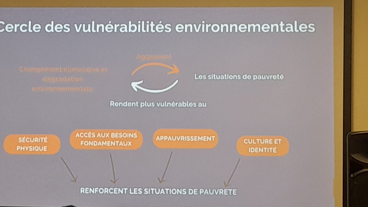 Annelise Meyer tweet media