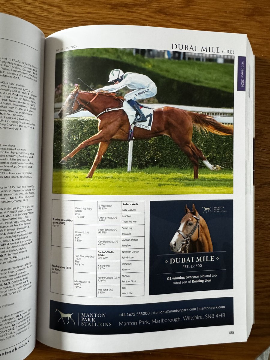 𝗗𝗨𝗕𝗔𝗜 𝗠𝗜𝗟𝗘 - New to <a href="/Mantonstallions/">Manton Park Stallions</a>