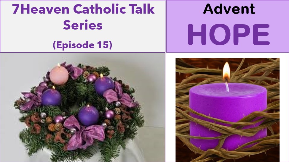 The Catholic Contributor (Heidi Vincent) tweet media