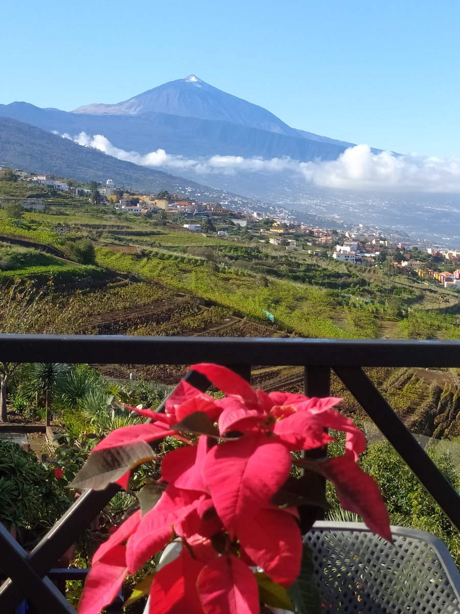 Feliz #sabado amigas/os desde #ElSauzal #nortedetenerife #islascanarias