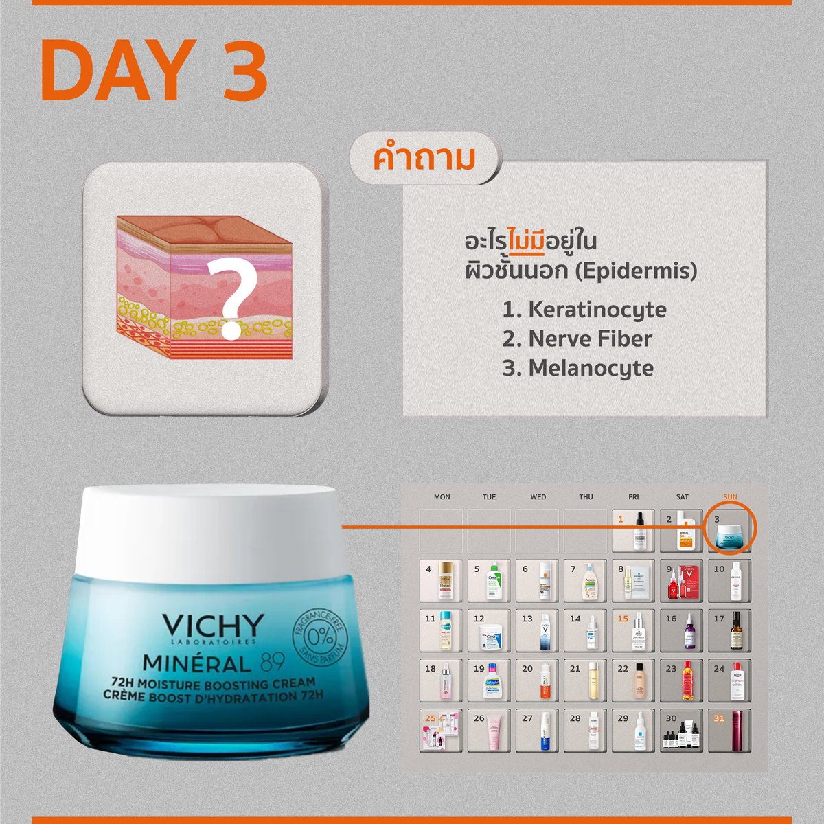 chin_skinnerd's tweet photo. [ 🎁 Day 3 ]  

คำถาม : อะไรที่ไม่มีอยู่ในผิวชั้นนอก (Epidermis)?
1. Keratinocyte 
2. Nerve Fiber
3. Melanocyte

📋กติกา
1. โควตคำตอบ
2. กดติดตาม
ประกาศผลพรุ่งนี้ 3 ทุ่ม. เริ่ม https://t.co/N3sR8uD1Ol