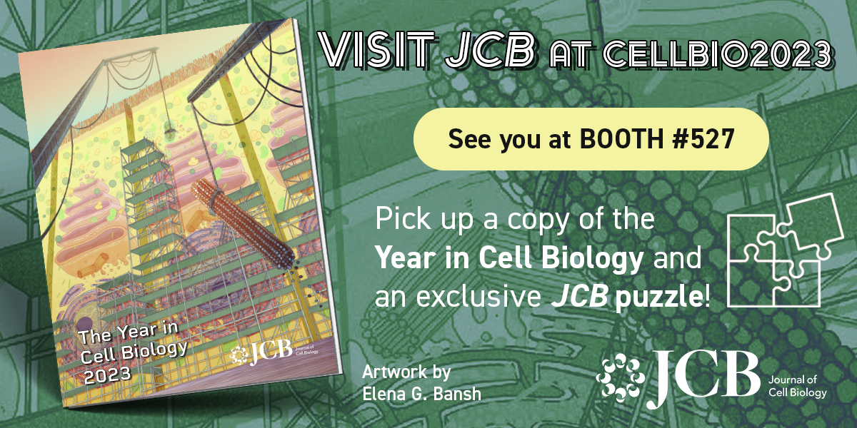 We're delighted to be in Boston for the #CellBio2023 @ASCBiology! Stop by our booth #572 in the Exhibit Hall to chat about the journal, & pick up our Year in Cell Biology collection & an exclusive JCB jigsaw puzzle 🧩 

Original artwork by @ElenaBansh
