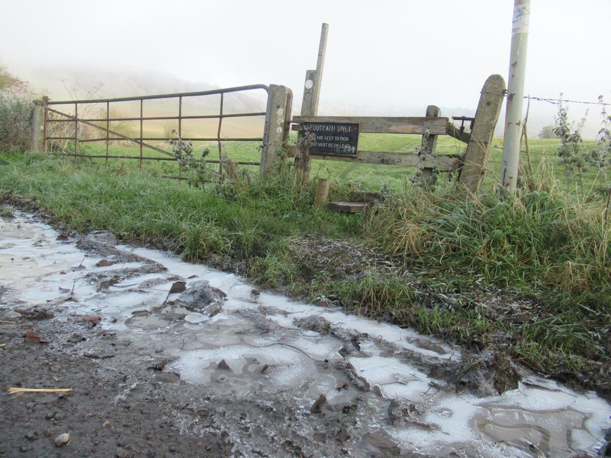 Hoar #frost #ChilternsAONB #ice #foggy 
@BBCSouthWeather @AlexisGreenTV