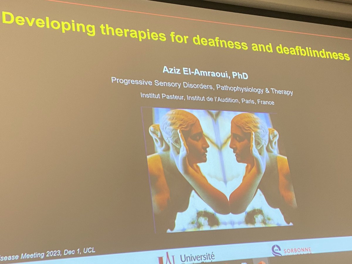 The Hearing Therapy Session has started - inspirational to hear about the work on Usher Syndrome and the therapeutic window 
‘Developing therapies for deafness and deafblindness.’
Thank you  Aziz El-Amraoui, PhD, Associate Professor Institut Pasteur 🙏