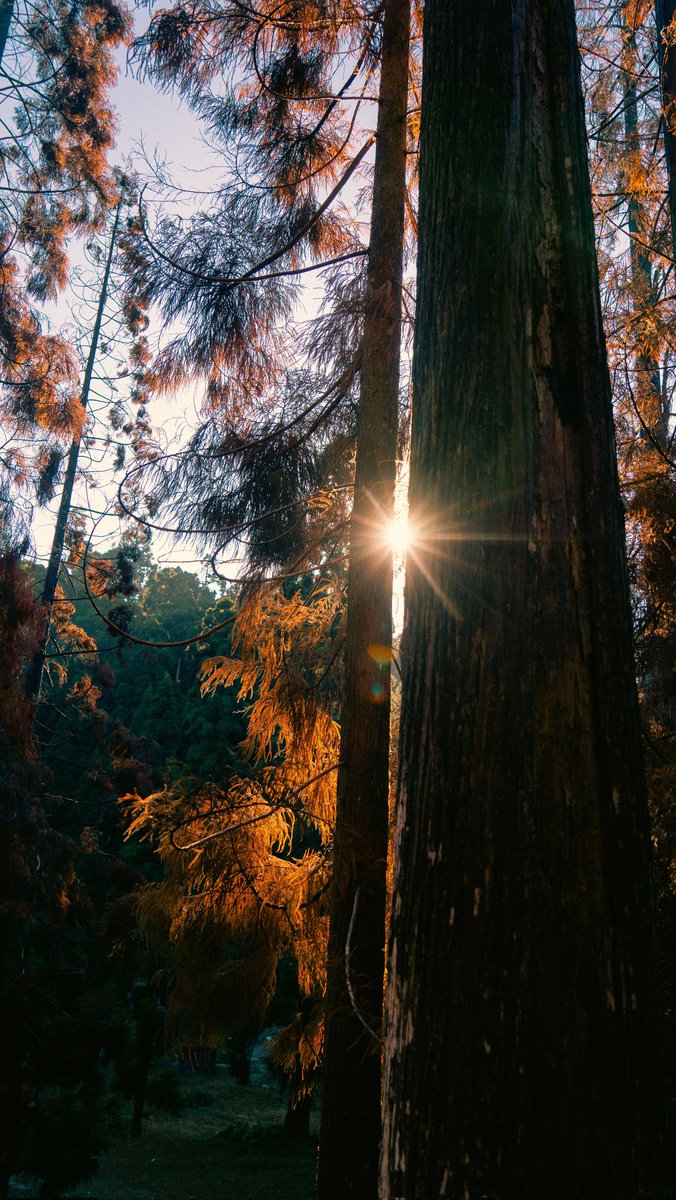 pranavsp.eth / 'Bond' Available on foundation tweet media