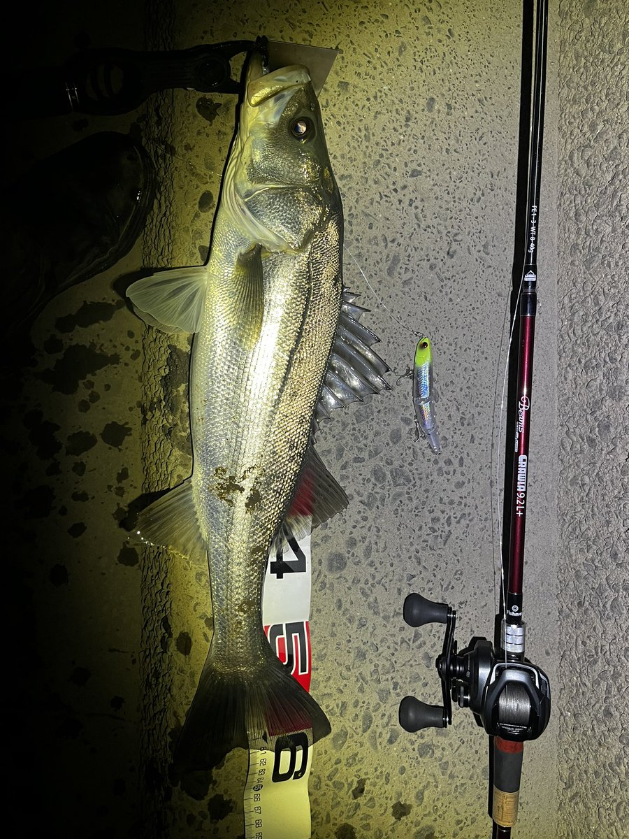terup_3's tweet photo. アップで流して反転流の中でドーン！
#シーバス
#木曽三川シーバス
#fishman #フィッシュマン
#クローラー92l
#エクスセンスdcss
#ダイワ　#スラップヒッター120s
#オヌマン https://t.co/ajJNbWXzcx