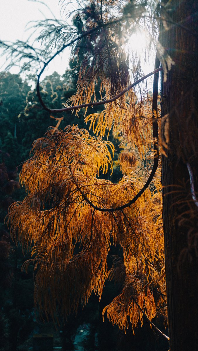 pranavsp.eth / 'Bond' Available on foundation tweet media