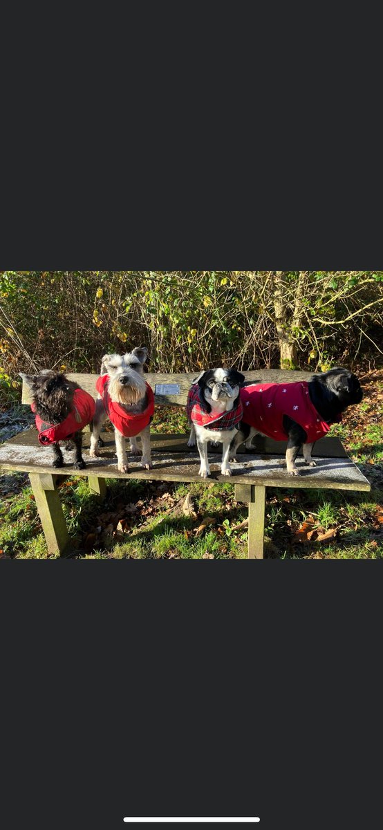 Lindsey Evans tweet media