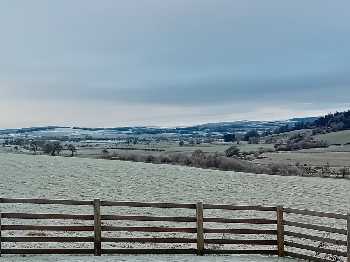 I had a craving for Bacon &amp; Brie sandwich.
It was quicker walking into the village than defrosting the car
❄️☺️