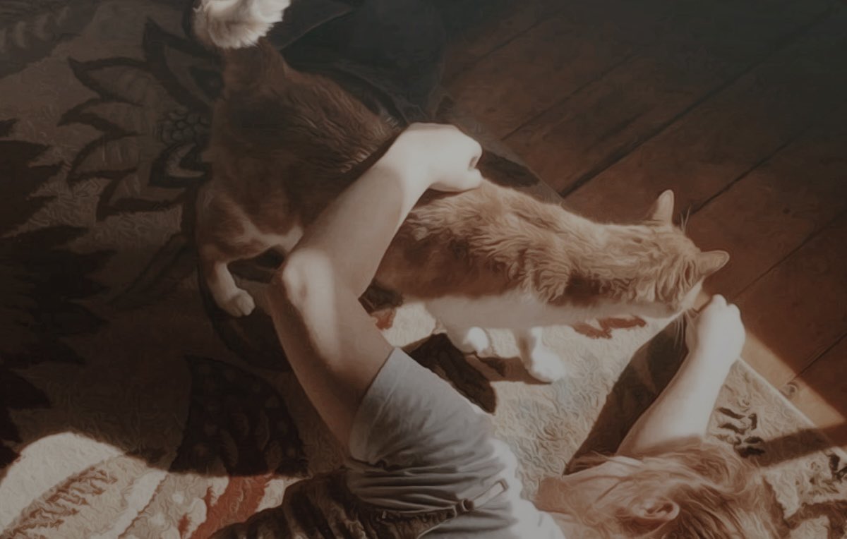 𝐋𝐢𝐥𝐲 𝐏. tweet media