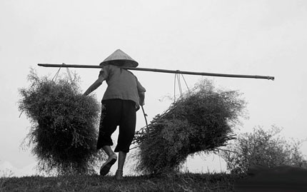 🍒Ngọc ẢnhT1.ETH #Monad (mainnet arc) tweet media