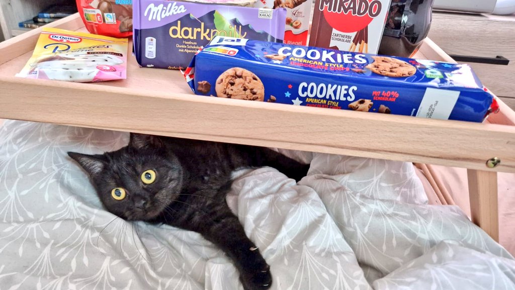 Wir schauen heute erkältet zu, aber meine bessere Hälfte fuhr extra los für die Snacks🥰 auf ein wunderschönes erstes #friendlyfire9 im gemeinsamen Wohnzimmer (inkl. Miez) &lt;3 <a href="/AlexMcGringo/">AlexMcGringo</a>