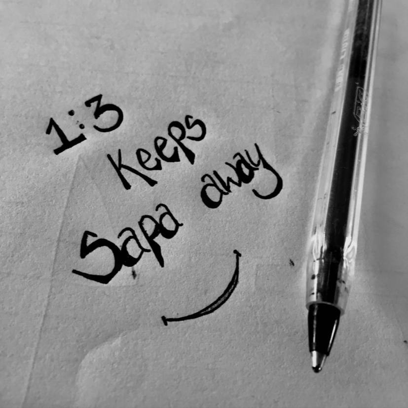 OMOR ♻️ tweet media