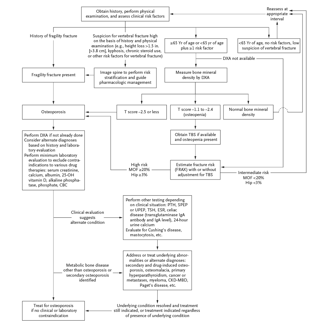 NEJM tweet media