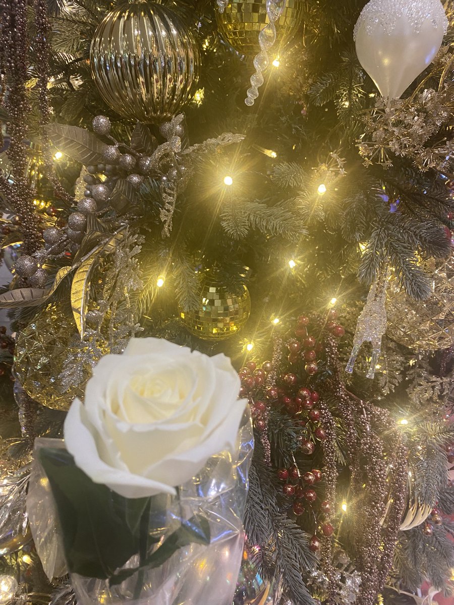 シキさんの粋な試みに乗っかって突然のツイ廃してみた（笑）

帰りに日比谷花壇に寄って、可愛いバラと帰宅〜