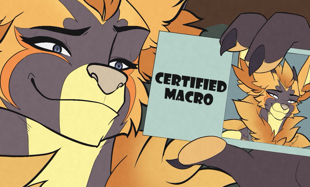 It took me several years and a few growth spurts, but I finally got my certification! Huge thanks to @NeosAvias for doing these!!