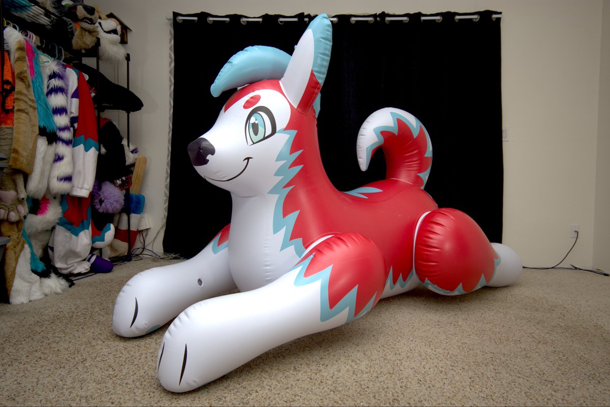 avalon_cruz's tweet photo. OwO whatβs this?! A one-off-custom-made Zap Husky fursona themed inflatable pool toy made by @PhenodToy !! Iβm in total β‘οΈshockβ‘οΈ!! Thank you Phenod for this AMAZING creation! #SqueakySaturday #Squeakend #Inflatable π·: @VarekWolf & @BlackDireMedia https://t.co/aZY3gilzOX
