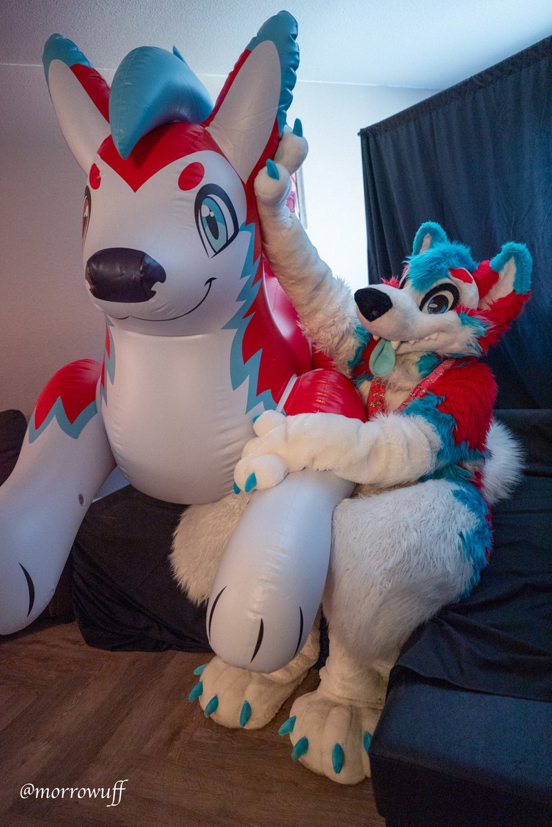 avalon_cruz's tweet photo. OwO whatβs this?! A one-off-custom-made Zap Husky fursona themed inflatable pool toy made by @PhenodToy !! Iβm in total β‘οΈshockβ‘οΈ!! Thank you Phenod for this AMAZING creation! #SqueakySaturday #Squeakend #Inflatable π·: @VarekWolf & @BlackDireMedia https://t.co/aZY3gilzOX