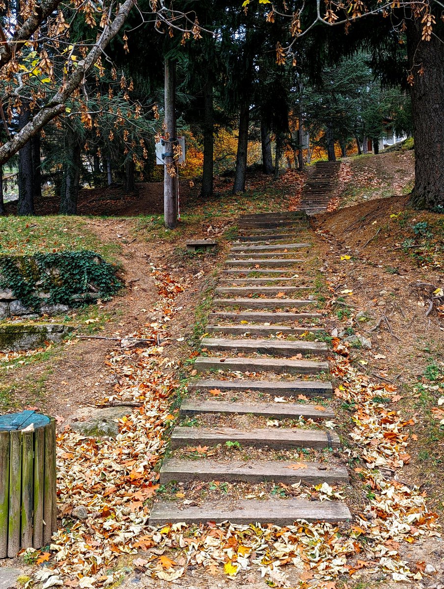 Stairways (4) to nature...

#StaircaseSaturday #VerticalSaturday #Vertorama
@keeper_of_books #Trees
#ThePhotoHour #NatureLovers #NaturePhotography