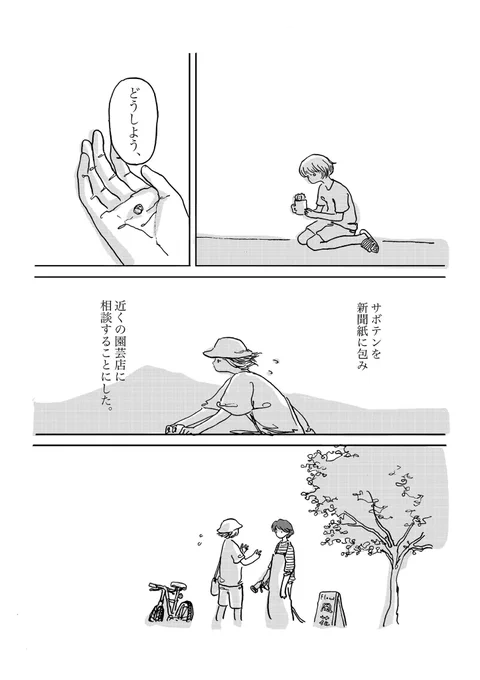 2/4