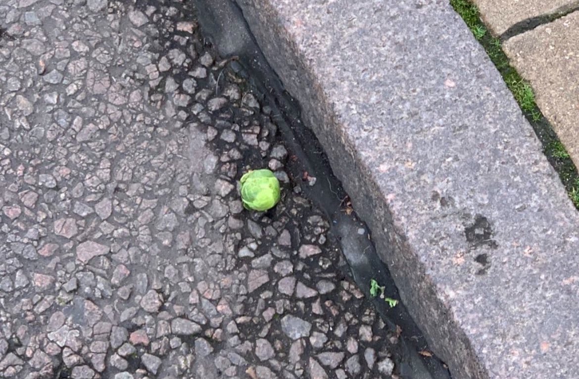 Throwback to the time I saw a Brussels sprout in the road and knew Christmas was coming.