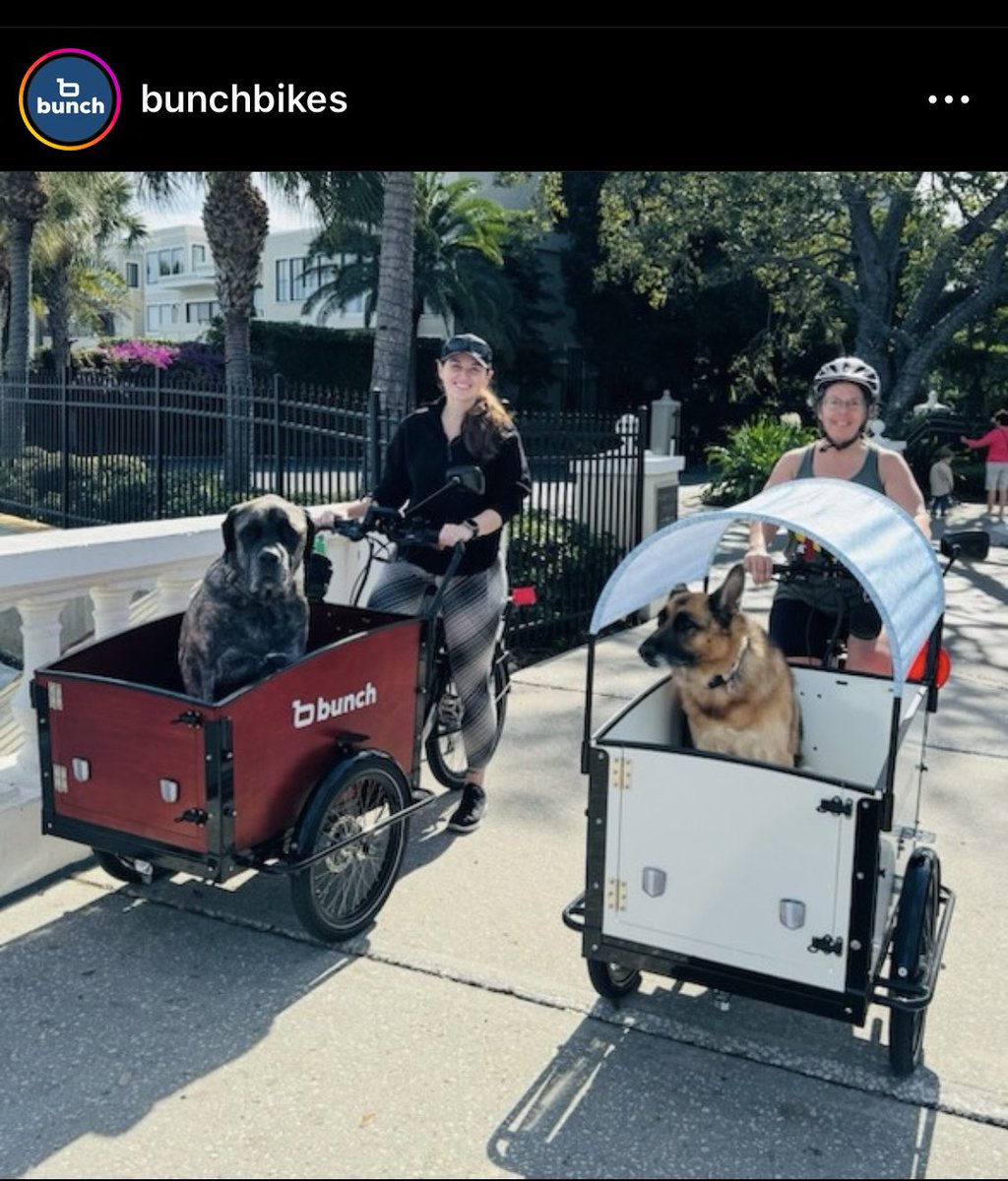 bikeshopsm's tweet photo. BUNCH BIKES for the Whole Family @bunchbikes @bikeshopsm #cargobikes #familybikes #holidaygifts #ebikes #k9 #love #dogs #pets #kids #bikes #bikeshop #bikeassembly https://t.co/Y79Jcfrqxx