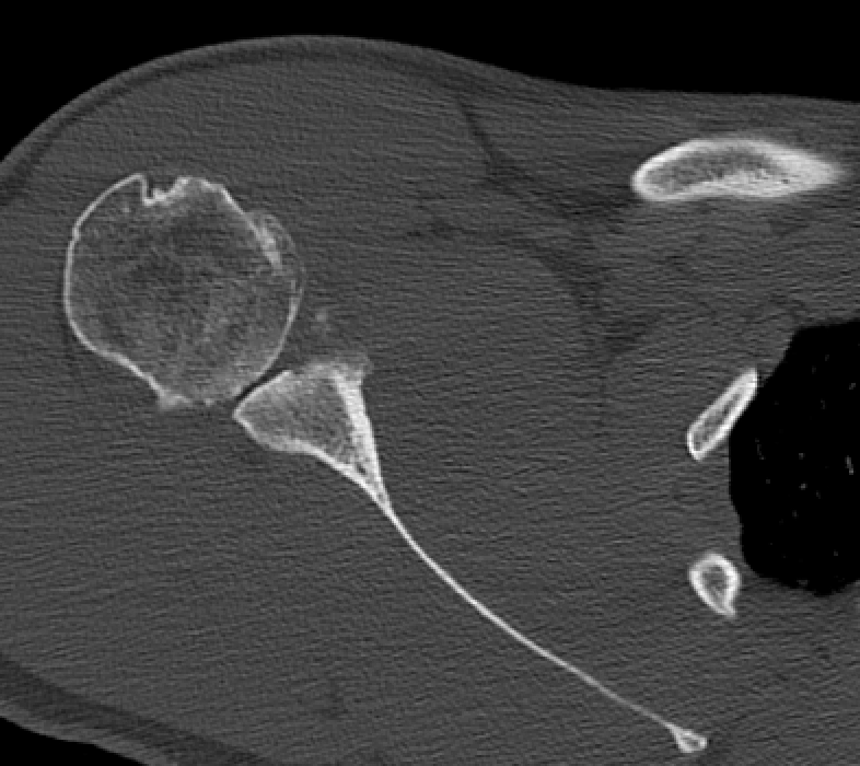 Michael Amini tweet media