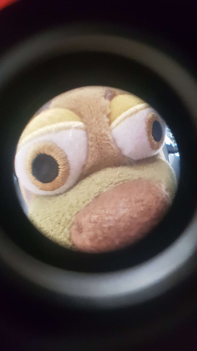 RandomPlushies's tweet photo. #FNAF #springtrap 
Mike, let me in. https://t.co/oMwuc2LhUu