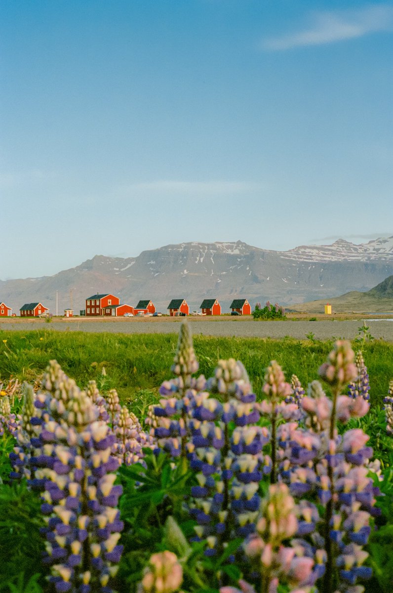 AlexKittoe's tweet photo. Iceland on film https://t.co/qBlwnkMZGs