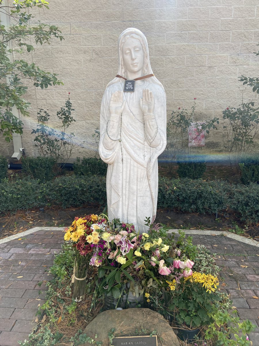 Good day, #CatholicTwitter it’s First Saturday, I went to Mass, prayed for you all. If you see this post, know that I took your intentions to Mass this morning. Enjoy your weekend.