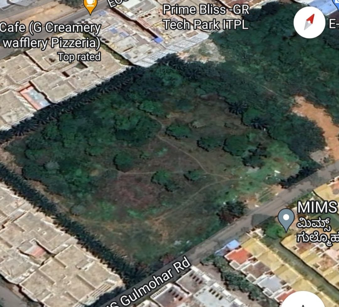 WhitefieldWards's tweet photo. Many trees existing on this land have suddenly been axed! Was permission given for their felling @aranya_kfd?
Location: https://t.co/g557vIImDD
Mims Gulmohar Road, Next to Kadugodi Forest Park.
#SaveTrees #SaveGreenCover @osd_cmkarnataka @BBMPCares @ICCCBengaluru https://t.co/GUzqNx2nU3