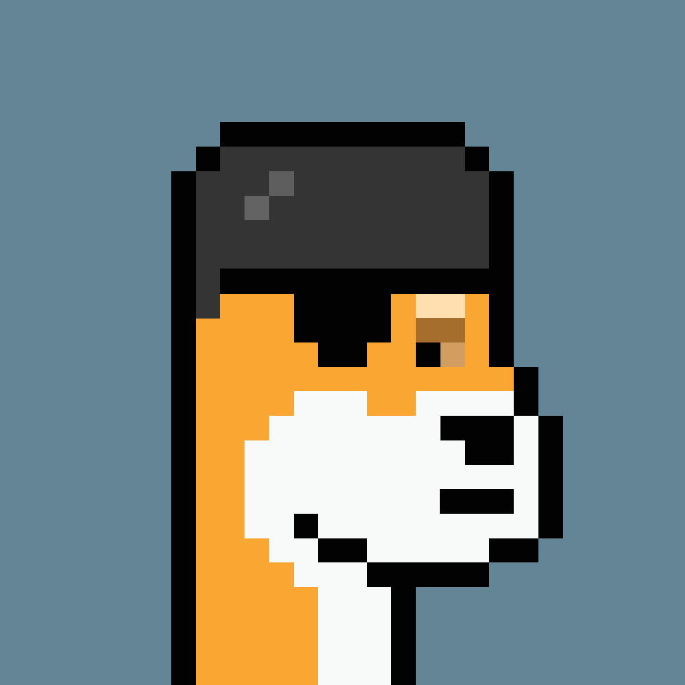 BlockFrogs's tweet photo. @DogePunksBTC Woof Woof https://t.co/1fk5gCpJMn