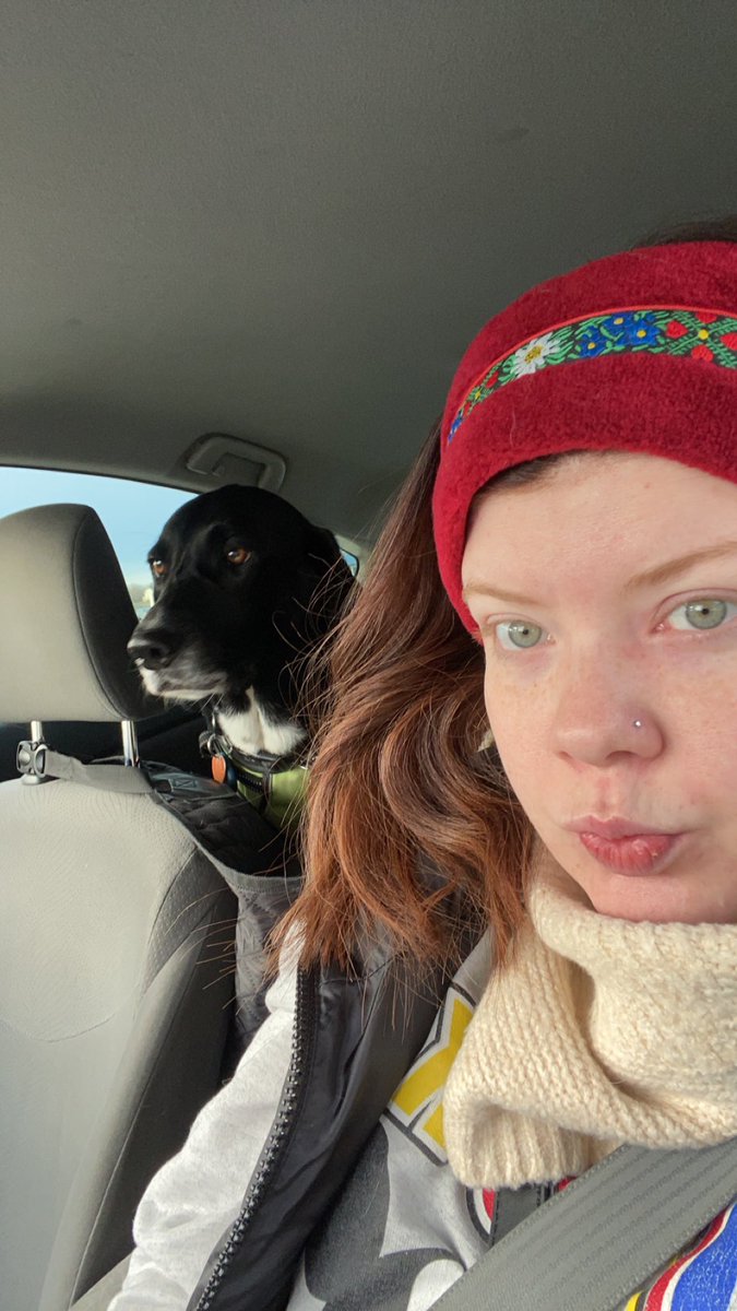 Pepsi is only calm in the car when we listen to old cowboy tunes 🐮