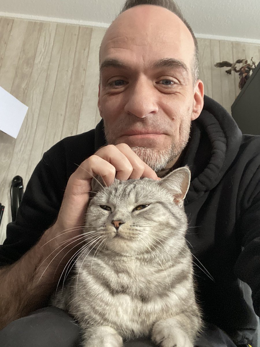 OldManGoku17's tweet photo. Just another Cat for your timeline. thx. Byeeeeeee #LokiContent https://t.co/xhi8ZVF2mY