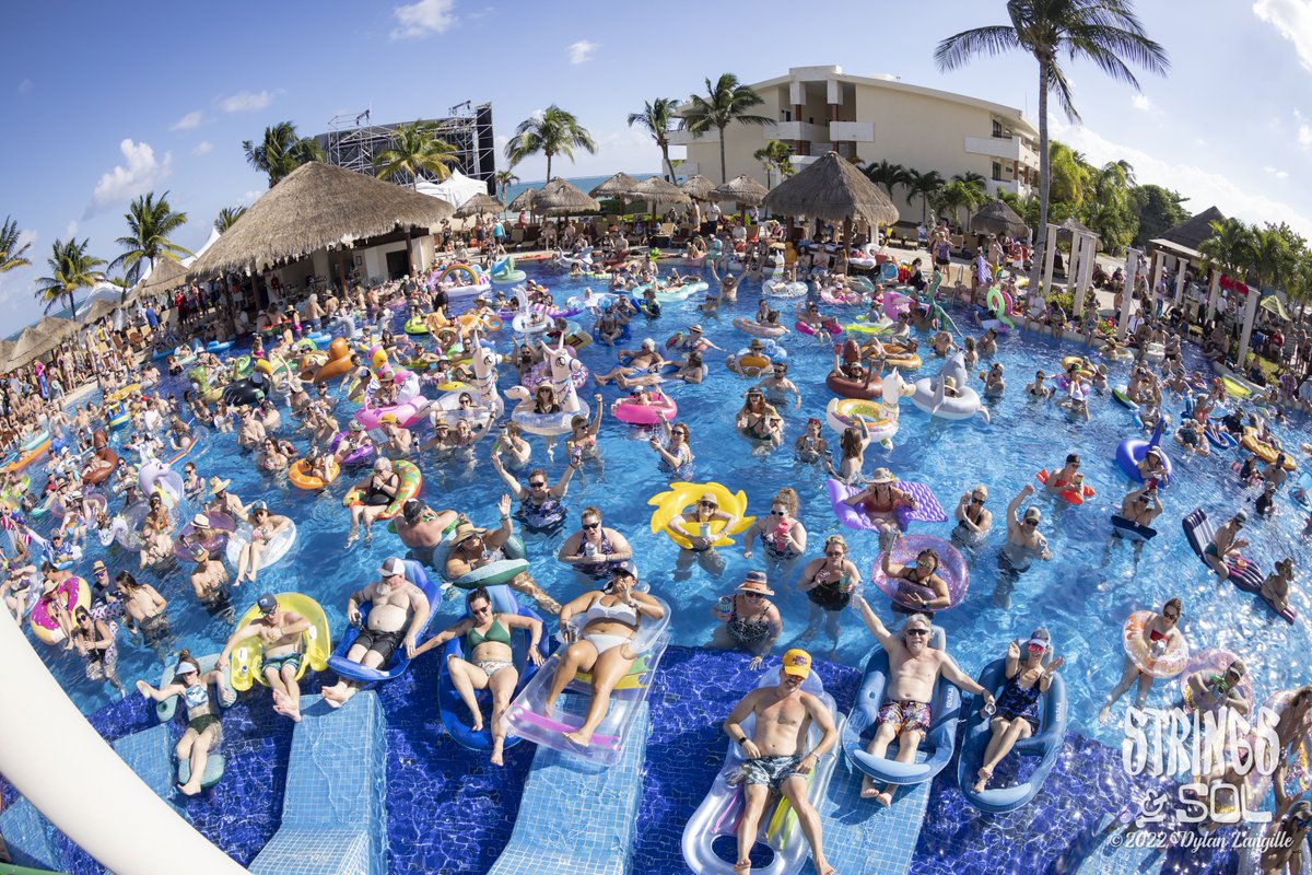 Strings & Sol tweet media