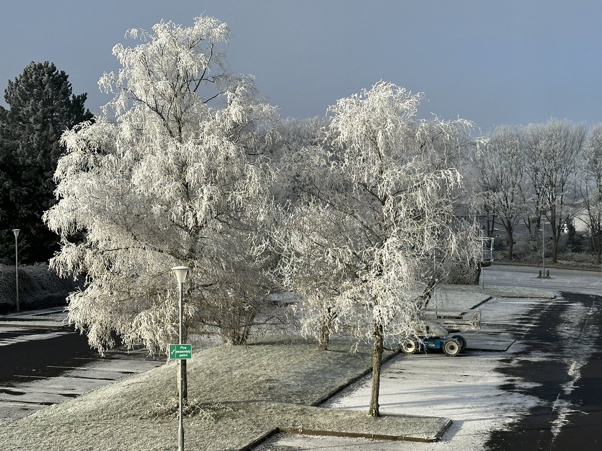 Manel Roura 🎗 tweet media