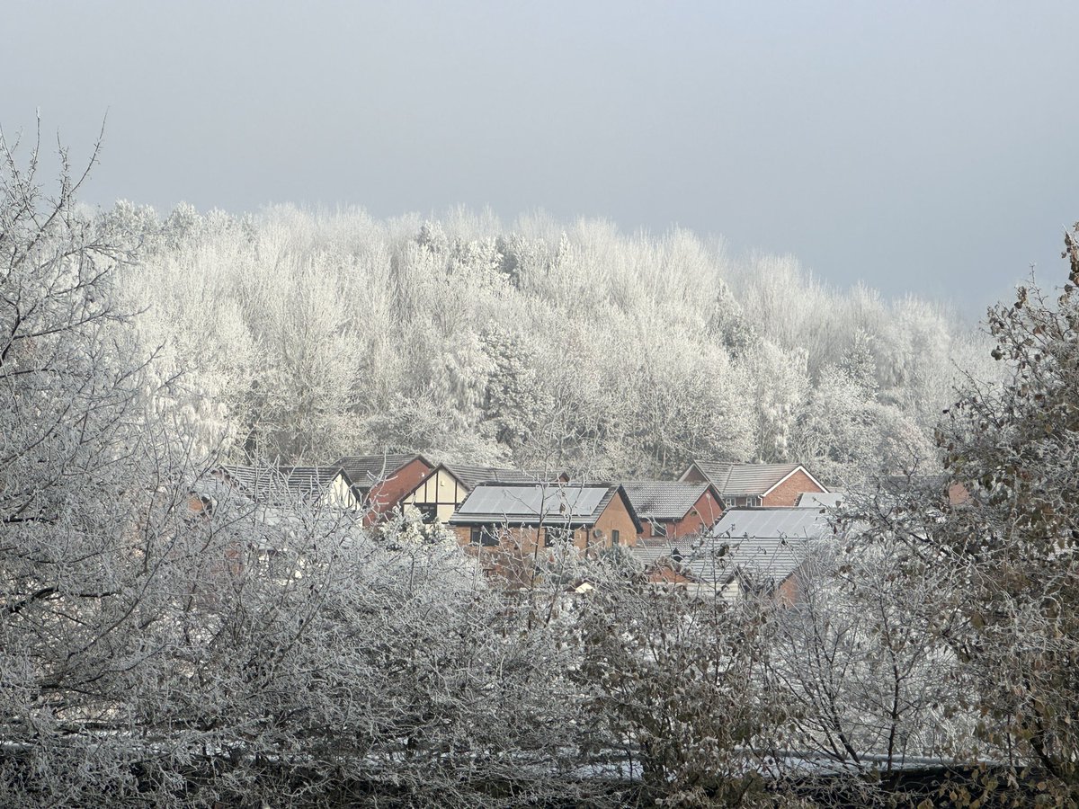 Manel Roura 🎗 tweet media