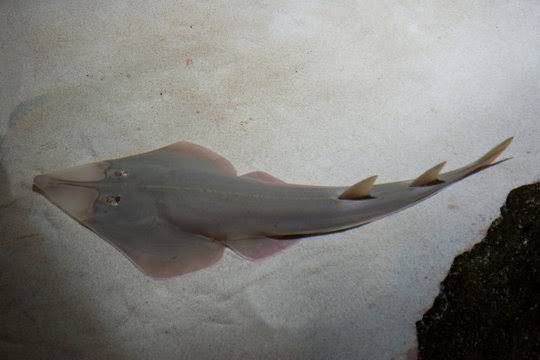 FishFishing1312's tweet photo. https://t.co/yIEg0fu6UL