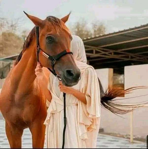 لا تقبل بالعواطف المستعملة التي بُهتت من فرط التداول،  فمعها لن تتجاوز مساحة السؤال ب " كيف حالك ؟ " ليكون الرد بعد ساعتين أو يومين و " أنت ؟"