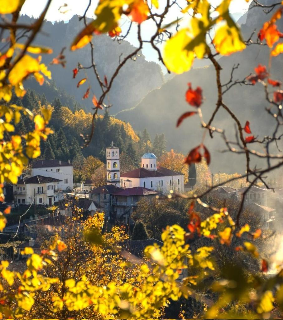 GreekPictures's tweet photo. #Megalo #Chorio (big village) is built on the foothills of mt.#Kaliakouda and is surrounded by wild nature. Its old mansions are built according to traditional architecture, the streets are narrow &amp; there are water springs almost everywhere, creating a great atmosphere.
📷 spic7 https://t.co/I3DDyWSptB