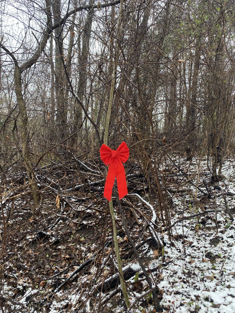 ⁦<a href="/ExperienceKING1/">Experience KING</a>⁩ the #KingCityTrails provide some “chill” &amp; time to reflect this #holidayseason